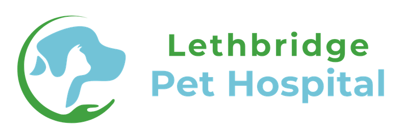 Lethbridge Pet Hospital